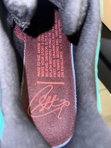 Pre-owned Under Armour Curry 9 What The Dell Wtd Size 12.5 Unreleased 100% Authentic In Multicolor