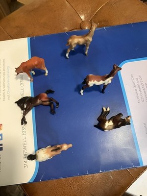 Foto dell'oggetto di un acquirente verificato