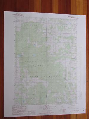 Woodville NE Michigan 1985 Original Vintage USGS Topo Map