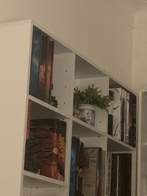 Artikelfoto(s) von einem verifizierten Käufer