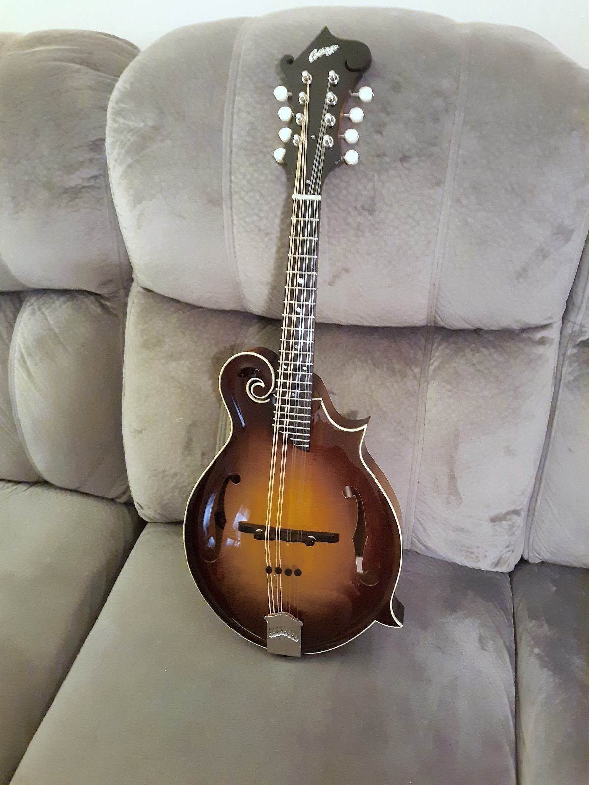 COLLINGS CUSTOM MF MANDOLIN GLOSS TOP SIDES & BACK ONE OF A KIND *PRICE REDUCED*