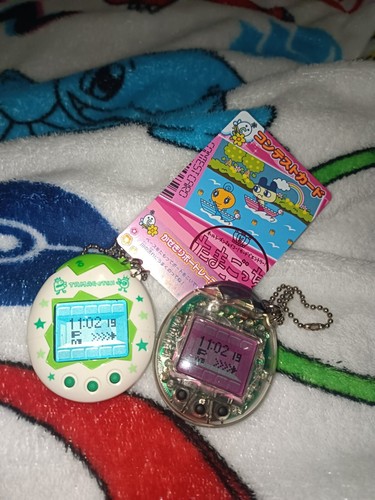 たまページ zys-190-img1.jpg
