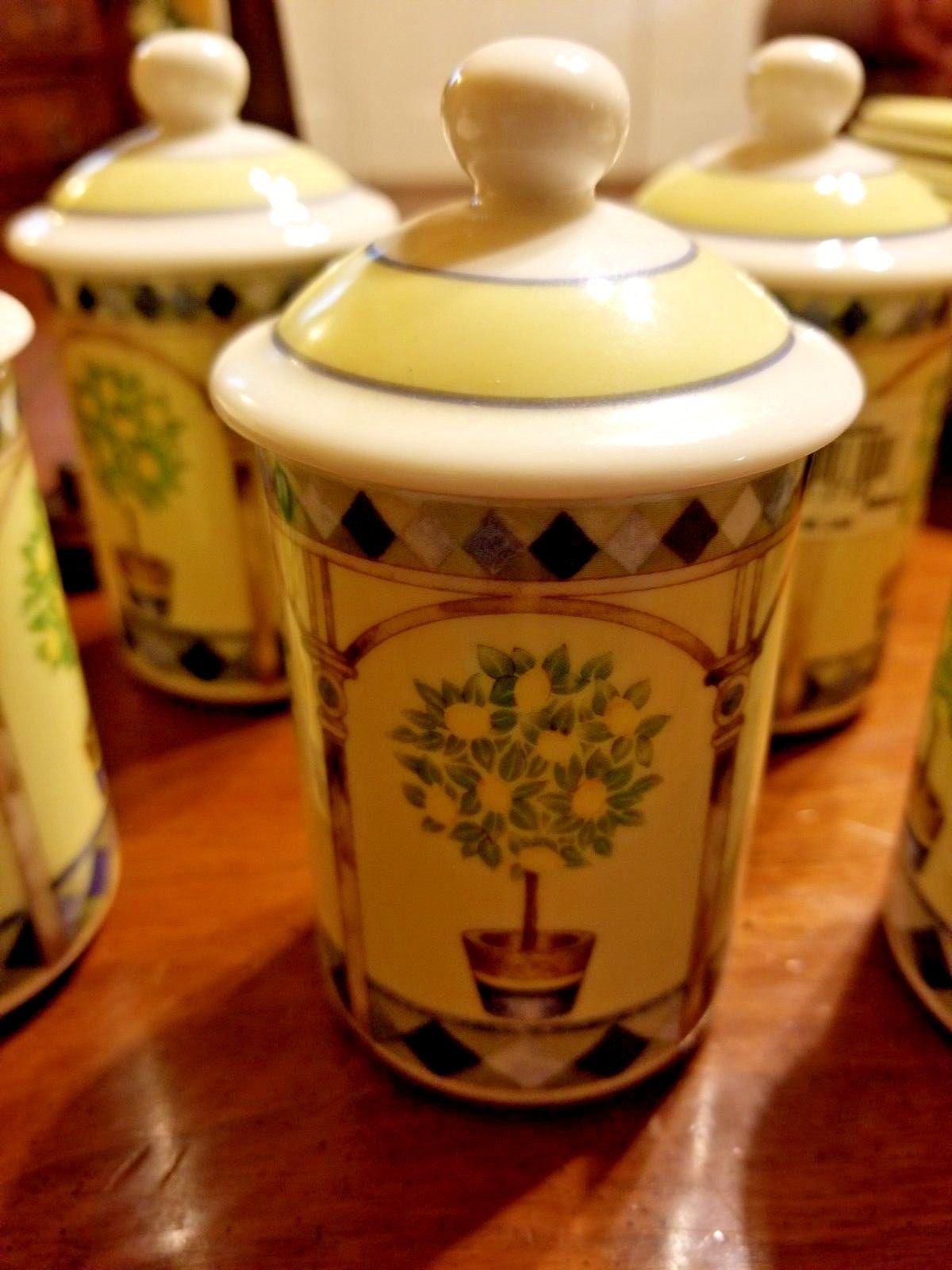 ROYAL DOULTON china CARMINA TC1277 pattern 5 Small Spice Jars with Lid 