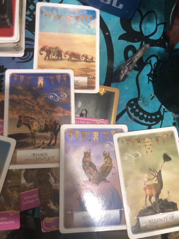 15 mins tarot card reading phone/email.Private. accurate .same day reading