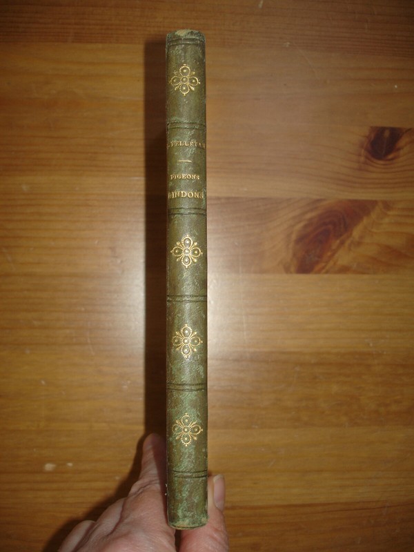 7107 Pelletan Pigeons Dindons Oies Et Canards 1879