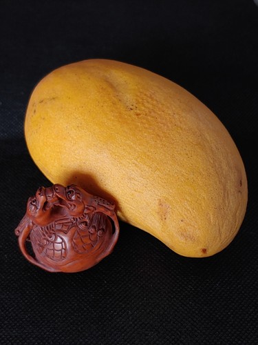清代玉松黄杨木雕龙戏珠挂坠Chinese Huangyang Boxwood Hand