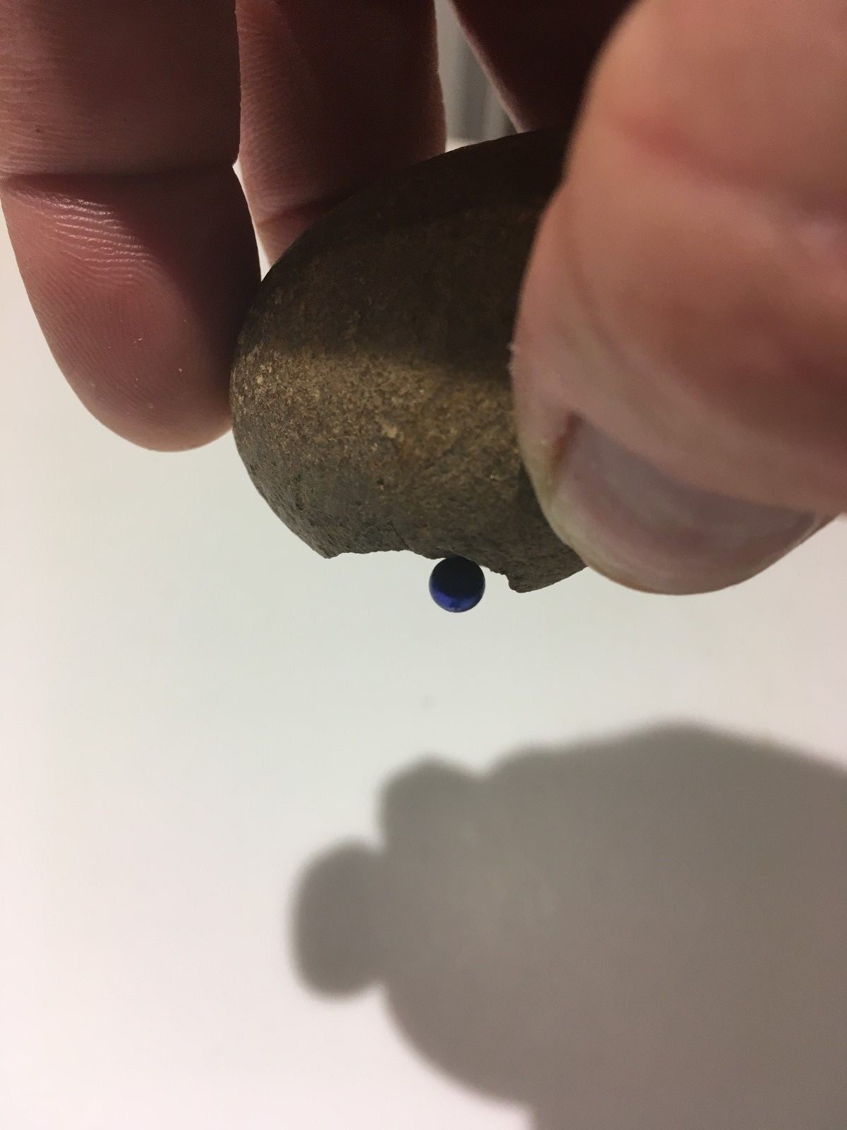 Strange Unique Rock a Ball Magnet Sticks to it - A Fossil Egg ?