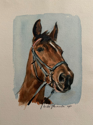 AMELIE GLASMACHER ILLUSTRATRICE POUR ENFANT / DESSIN ORIGINAL 1981 SIGNEE (9)