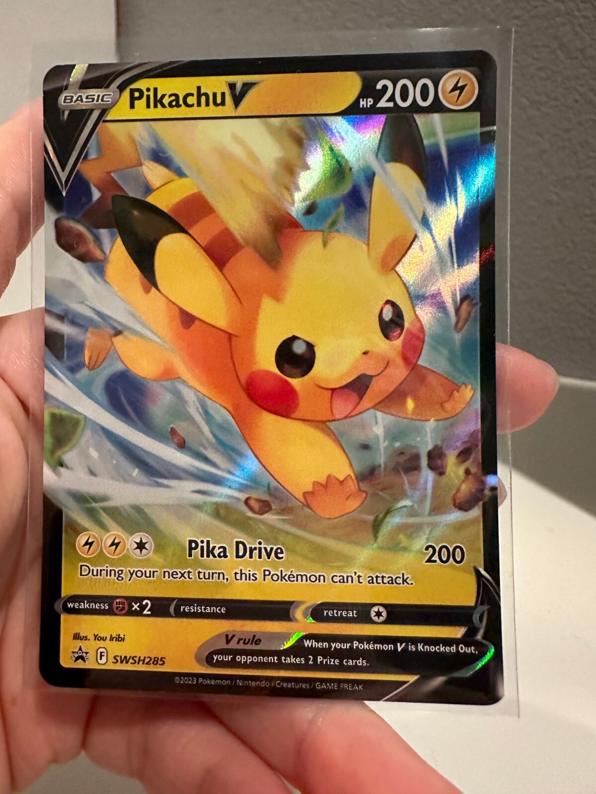 ヤモマーク　ブラックピジョン $_57.JPG?set_id=880000500F