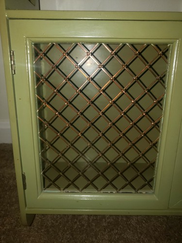Vintage Mid Century Avacado Green 2 Shelf Cabinet With Dual Copper Wire Doors
