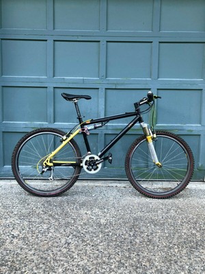 2005 rocky mountain slayer 50