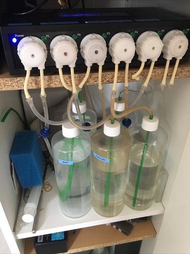 4x Dosierbehälter a 1000 ml Vorratsbehälter für Dosierpumpe