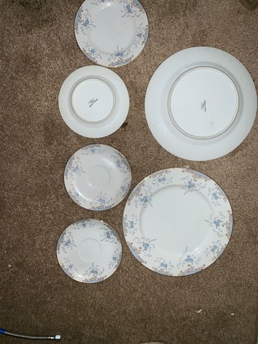 Imperial China 5303 Seville Plate W Dalton Dinner Plate 10.5