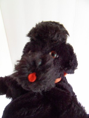 Steiff dog poodle hand puppet mohair Ids stuffed animal Germany 2240