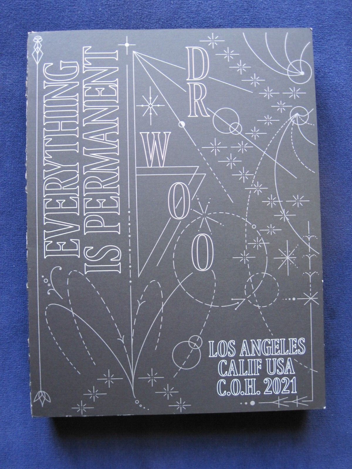 Dr.Woo Everything is Permanent 本 Amazon.co.jp: Dr. Woo Everything is Permanent アート本