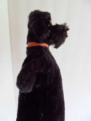 Steiff dog poodle hand puppet mohair Ids stuffed animal Germany 2240