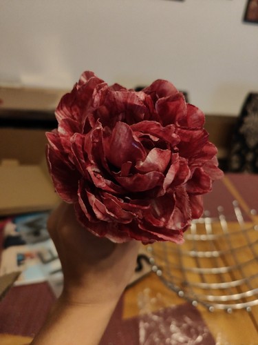 Artikelfoto(s) von einem verifizierten Käufer