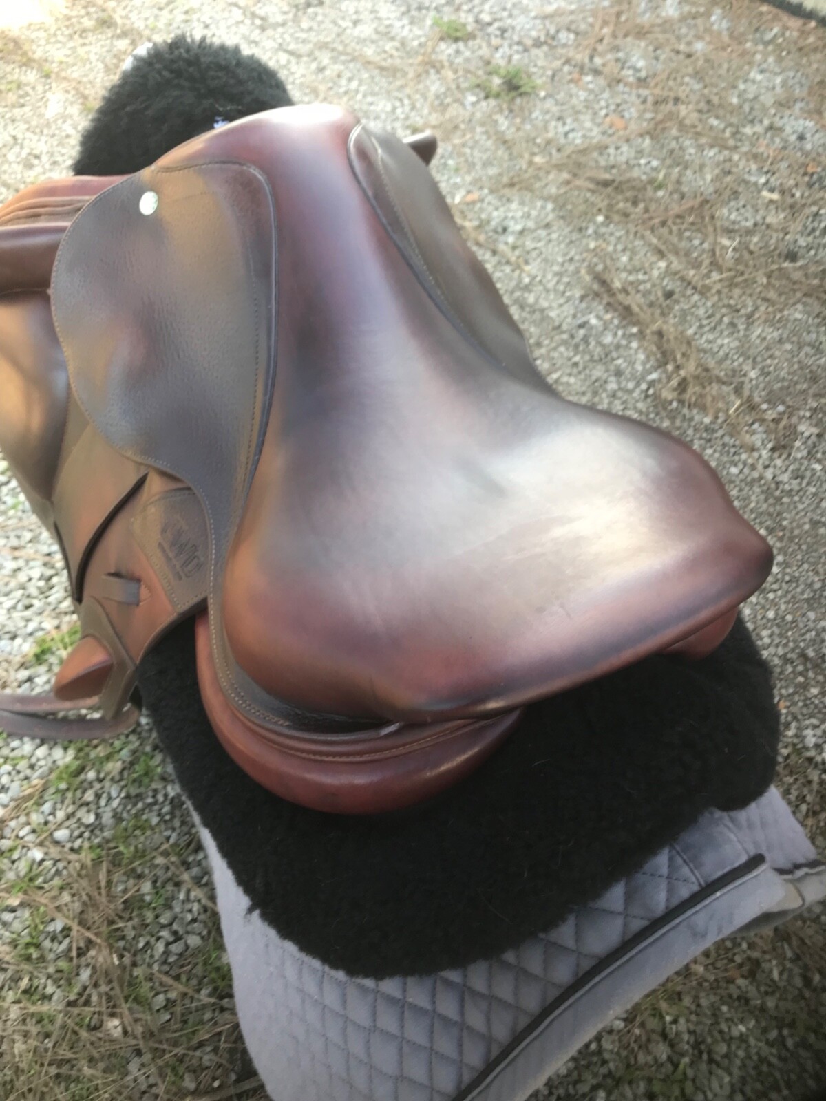 CWD SE15 Monoflap Saddle- 2011- 16” seat- 1A flap- leathers & cover included