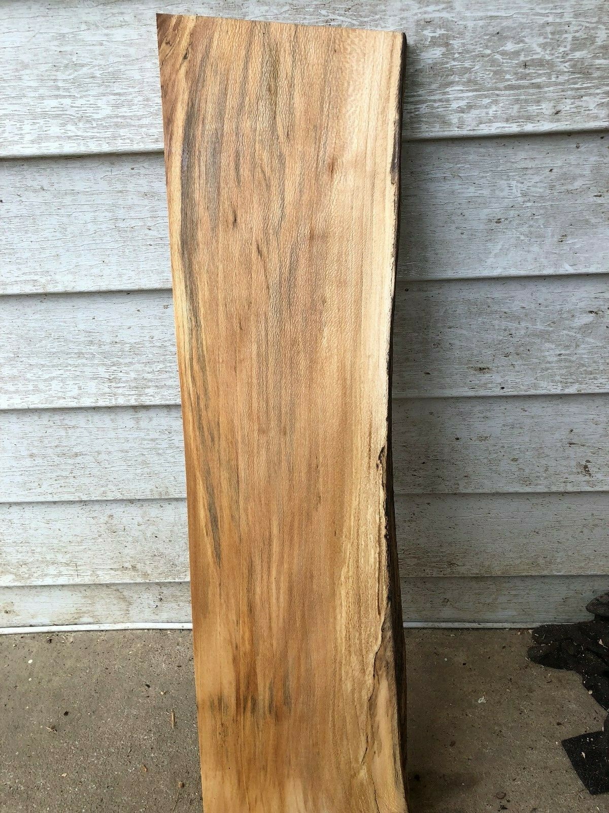 Quartersawn Natural Edge one side Sycamore slab