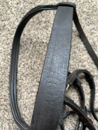 Gorgeous Horse Narrow Raised Brown English Bridle England Hunters