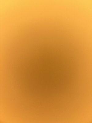 Foto dell'oggetto di un acquirente verificato
