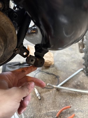 Artikelfoto(s) von einem verifizierten Käufer