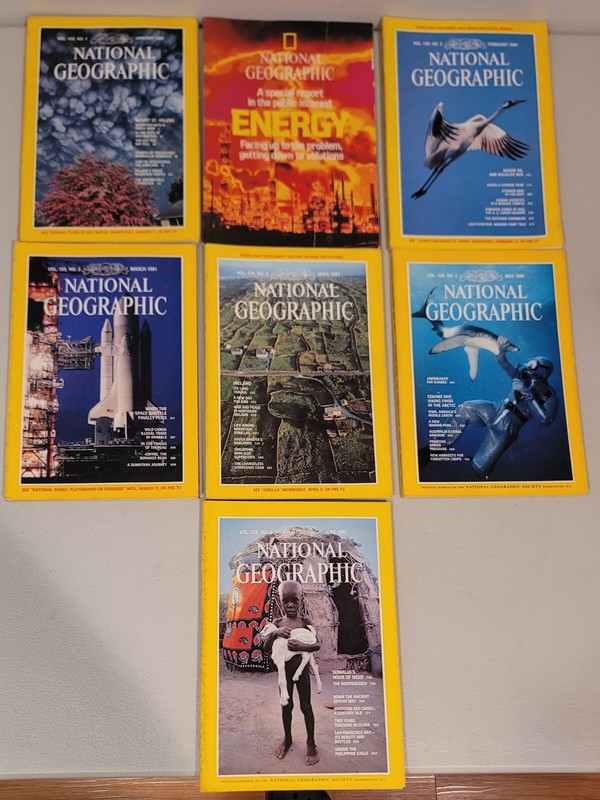 National Geographic Magazine 1981 Complete Year Set of 12 plus