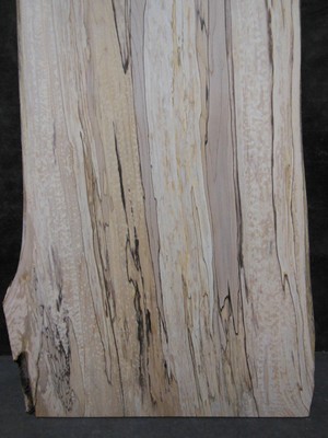 S=224_ Spalted Black Line Maple Slab 471/4