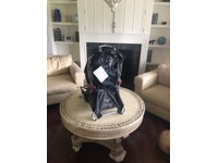 poco ag carrier