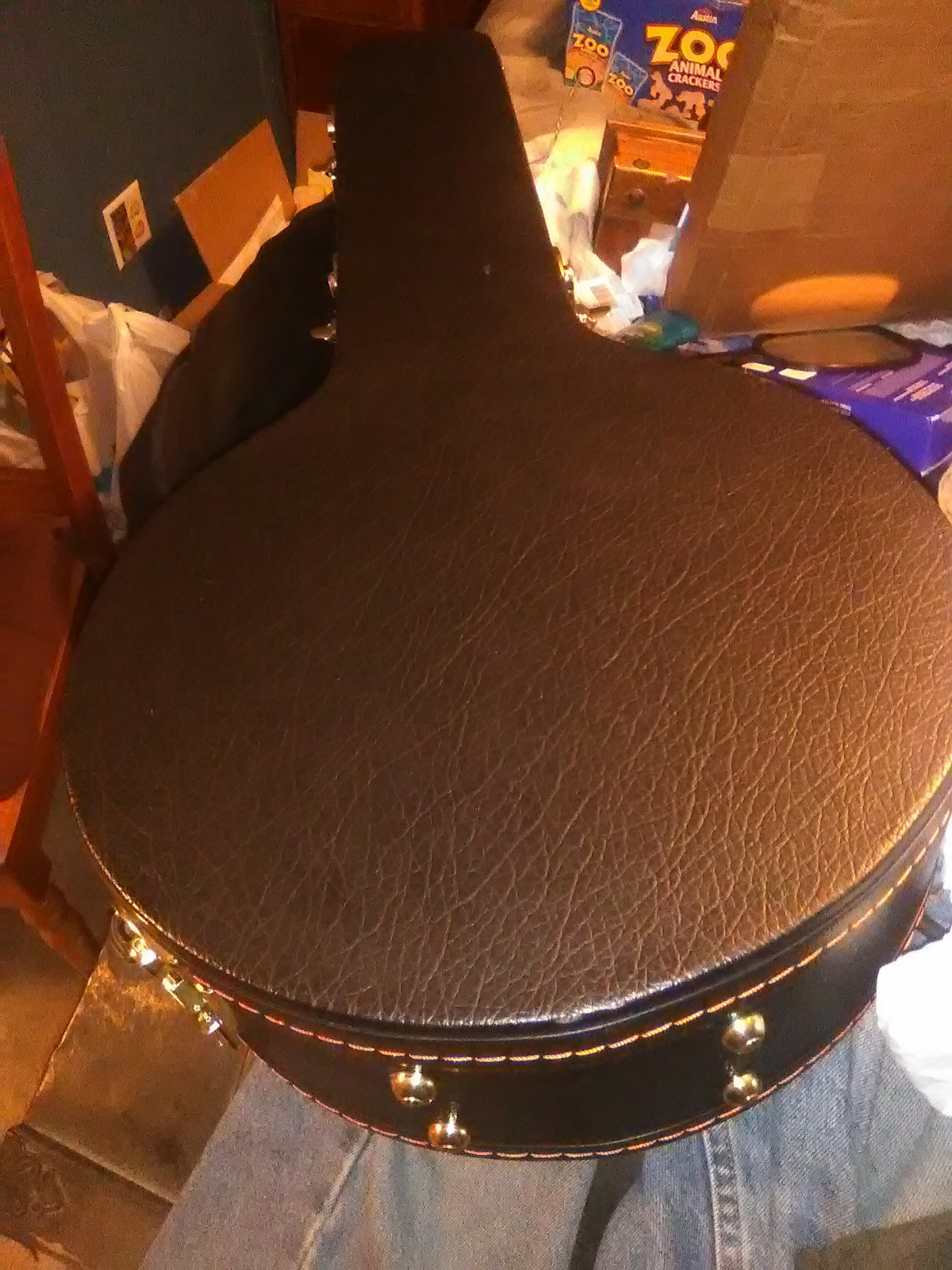 GOLD TONE 6-STRING ELECTRIC BANJO GUITAR w/ hardshell case BANJITAR ~ GT-750