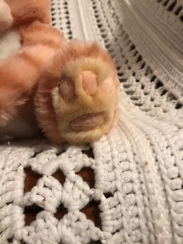 First Main KIT KAT Cat Orange Tabby Tiger Kitty Kitten 8