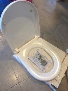 caroma arc toilet seat