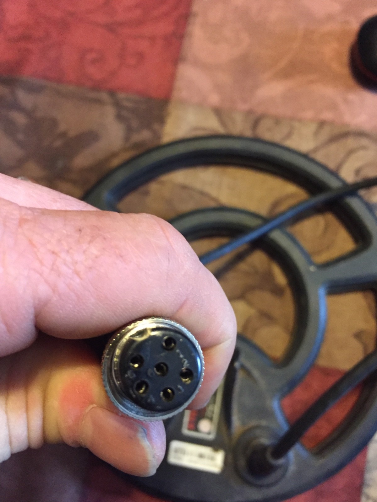 minelab x-Terra series concentric coil