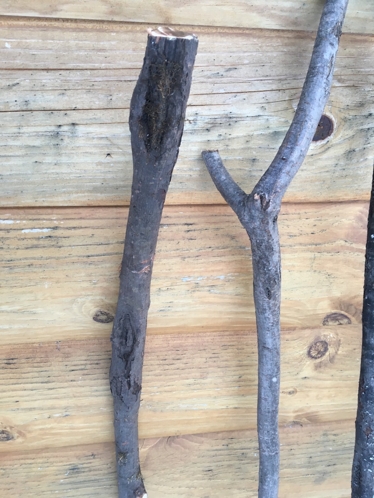 7 Original Diamond Willow walking sticks cane trekking unique 54