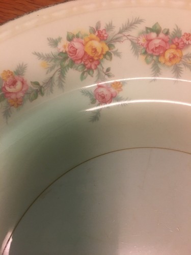 Homer Laughlin Eggshell Georgian Floral Dinner Plates 10