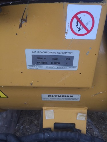 2001 Olympian/Caterpillar Natural Gas/Gasoline Generator Modle # G75F1