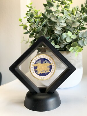 CHALLENGE COIN-Seal Team Ten- US NAVY NAVAL SPECIAL WARFARE DEVELOPMENT GROUP