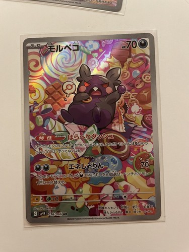 Morpeko AR 076/066 sv4K Ancient Roar MINT HOLO Pokemon Card