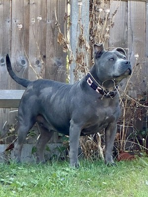 經驗證買家提供的物品圖片