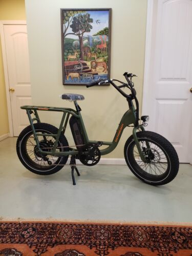 Electric Bicycle for Sale: Radrunner 1 Electric Utility Bike Brand New in Walhalla, South Carolina