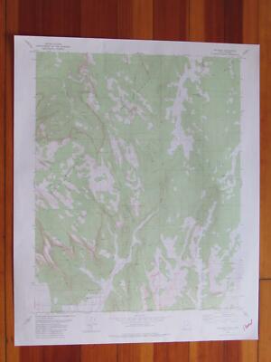 Hildale Utah 1980 Original Vintage USGS Topo Map