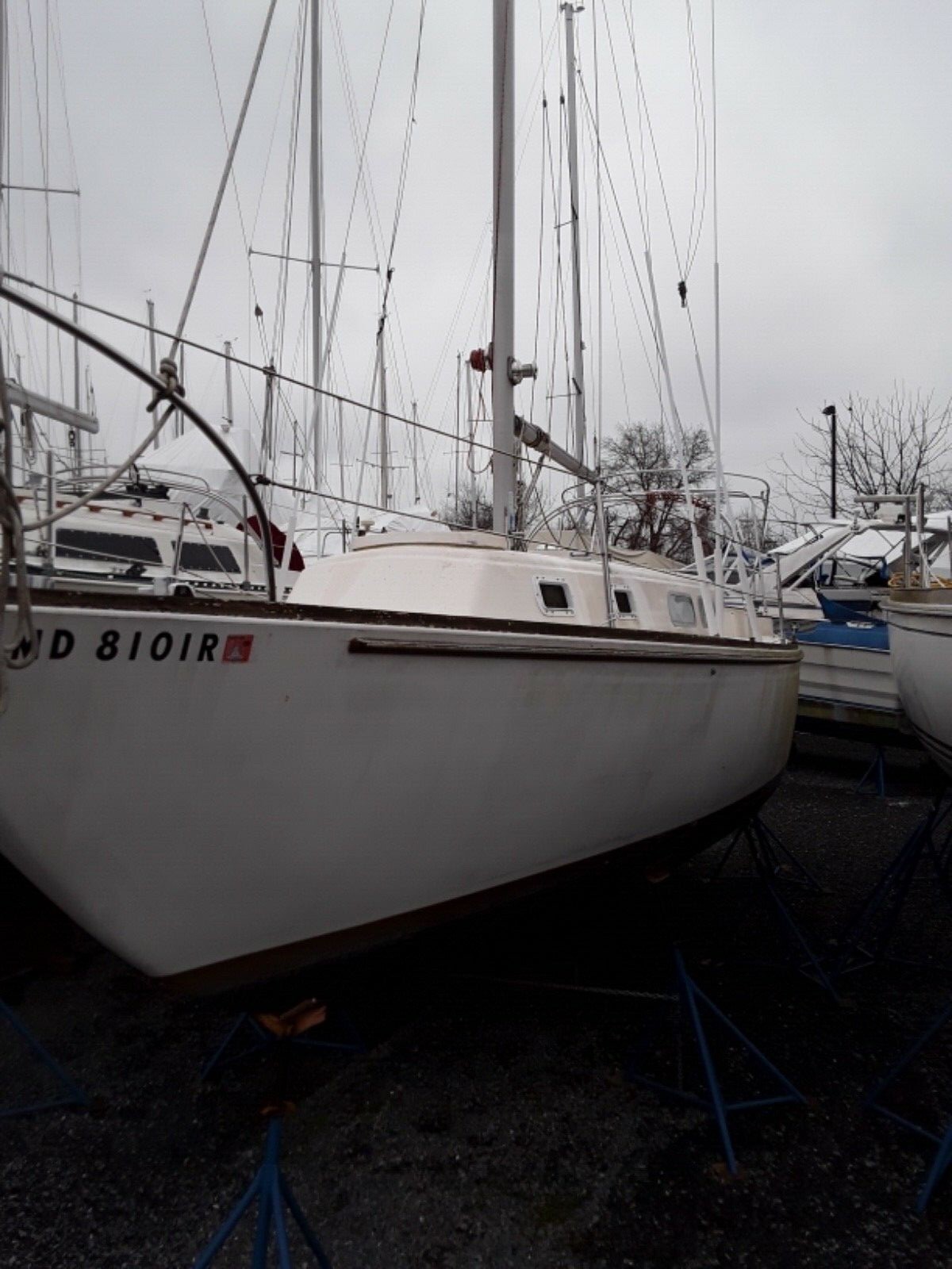 Pearson 35 sloop