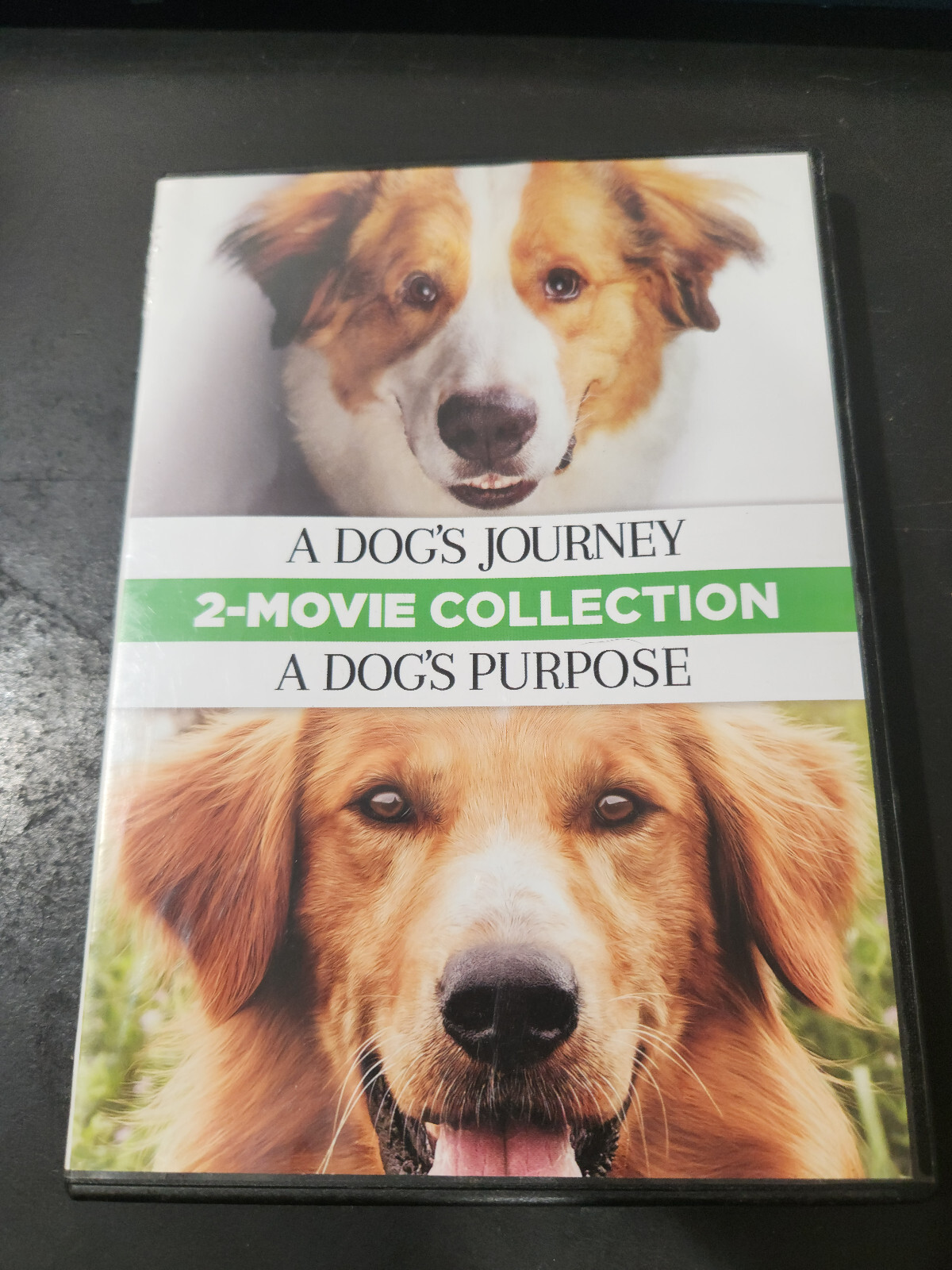 その他 A Dog&#39;s Journey / A Dog&#39;s Purpose [DVD] 816oV1pFRqL._UF350,350_QL50_.jpg