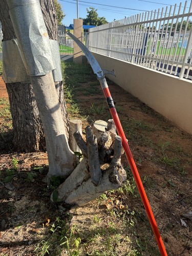 Fotos del artículo de un comprador verificado