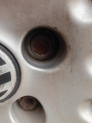 Artikelfoto(s) von einem verifizierten Käufer