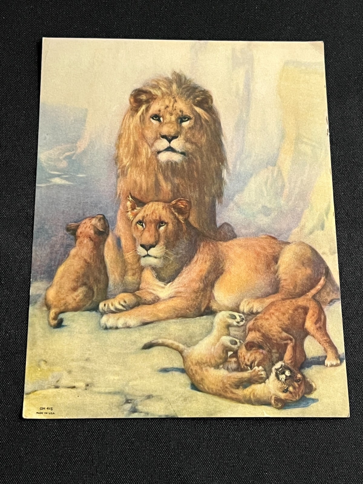 Society6 ケース Lion by Felicia Atanasiu $_57.JPG?set_id=880000500F