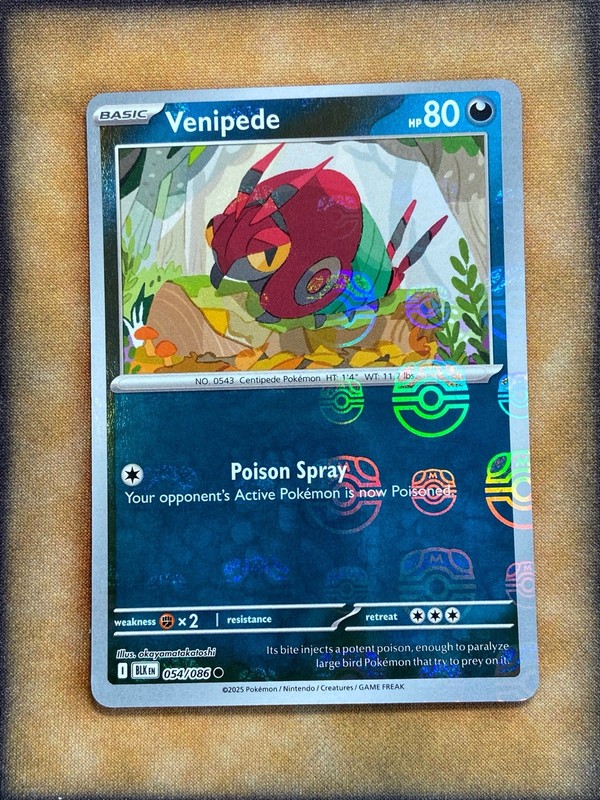 Pokemon Venipede 054/086 Black Bolt Reverse Holo Masterball