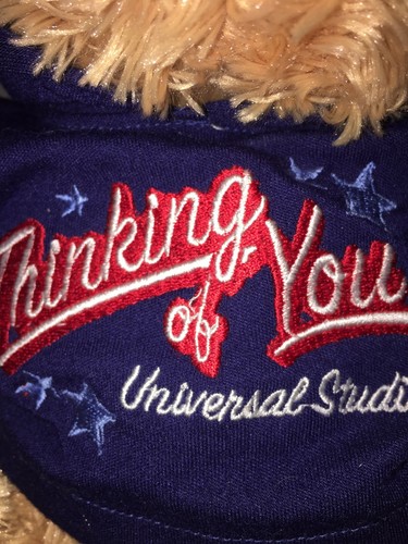 Universal Studios FL Souvenir Stuffed Plush Bear  Thinking of You Hoodie 16”