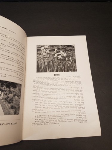 1930 Mitchell Nurseries Barre Vermont Catalog and Price List - Illustrated