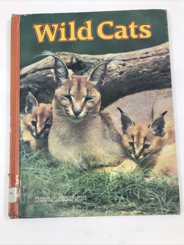 Books for World Explorers: Wild Cats - Peggy D. Winston